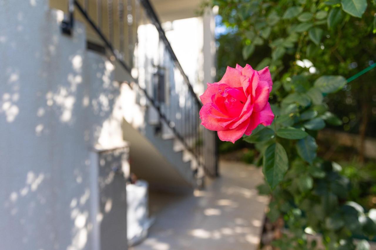 Villa Mandarina Radovici Dış mekan fotoğraf